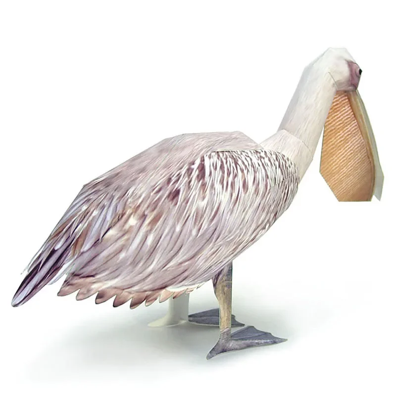 Great White Pelican Bird กระดา - Art Craft Cardboard บทวิจารณ์และราคา